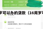 满16周岁可以办的贷款（16周岁可以申请的贷款）